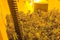 اللد: ضبط مختبر لتنمية المخدرات واعتقال مشتبهين 